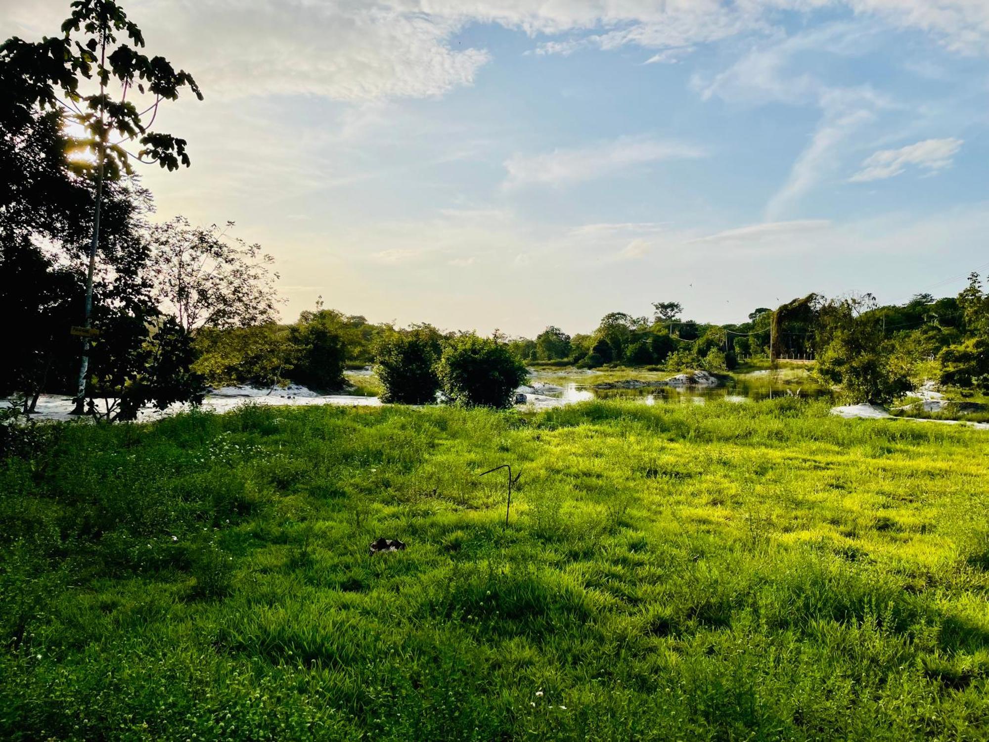 Land Of Promise - Reggae Bar & Eco Village Zanderij Exterior foto